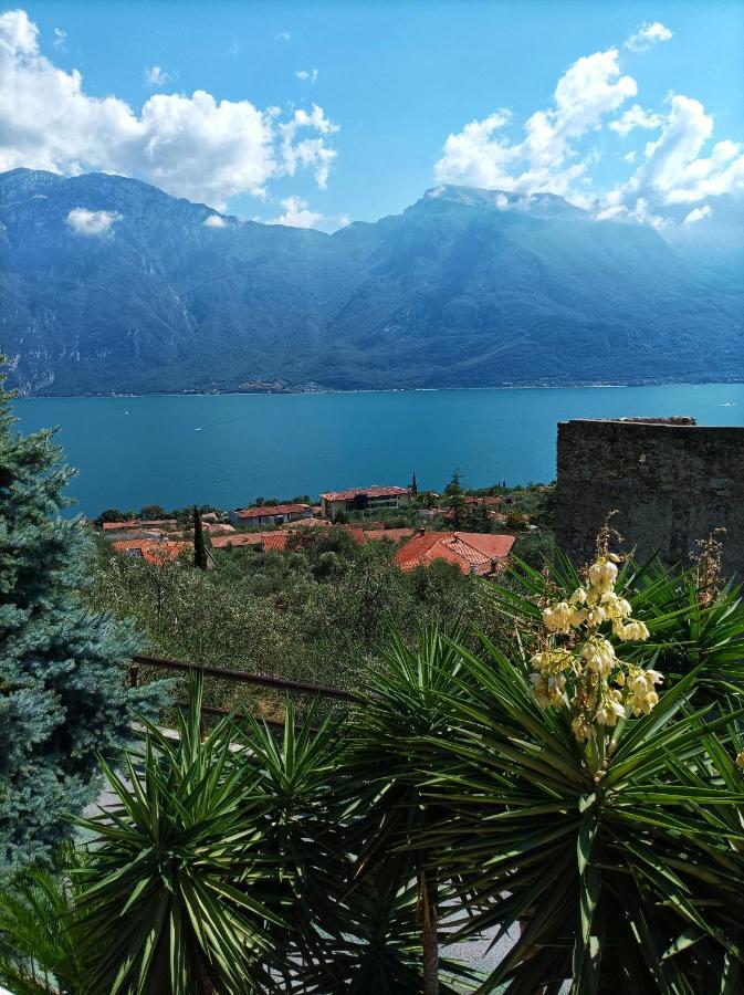 Villa Fior Di Loto Limone sul Garda Exterior photo