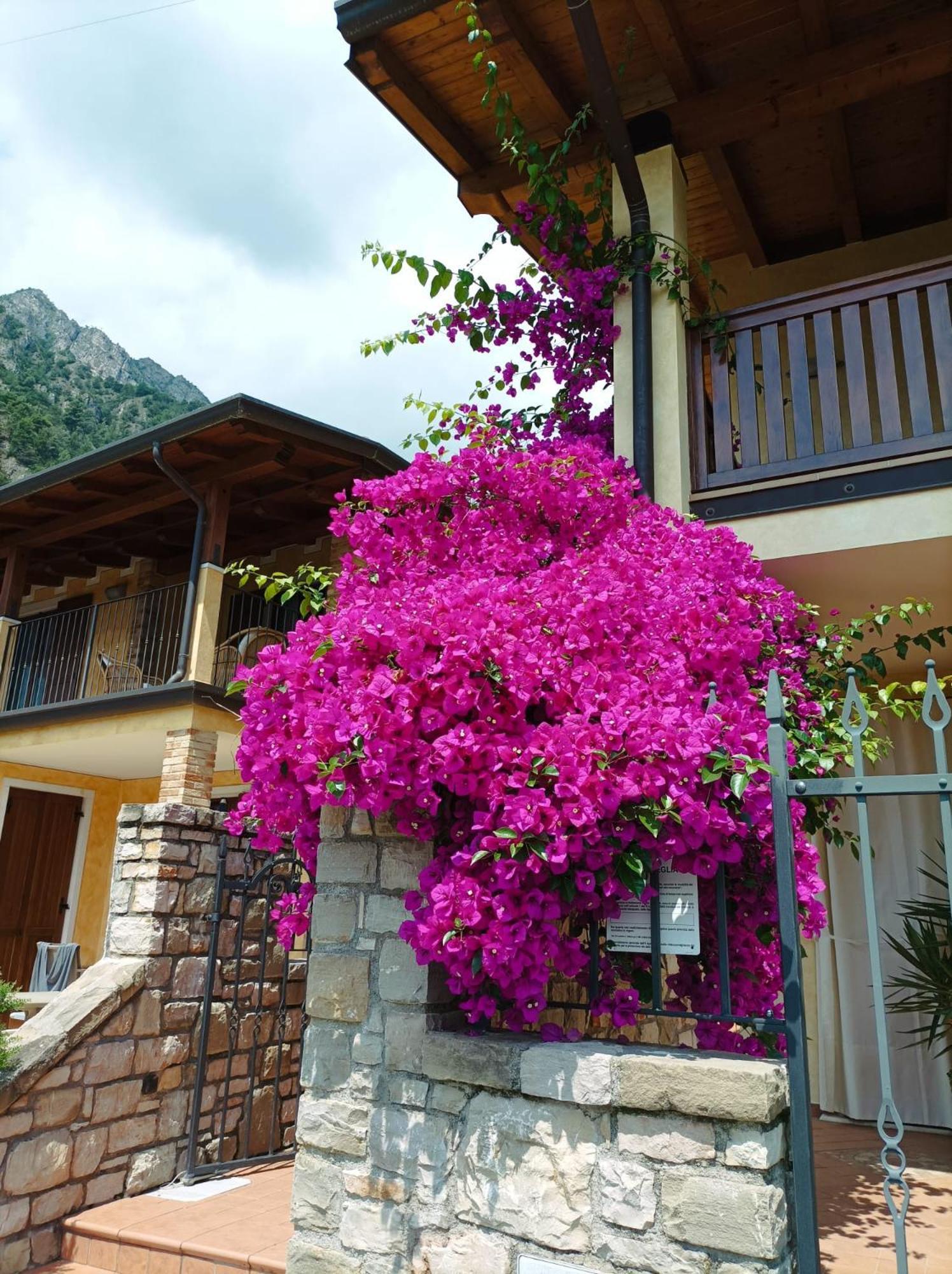 Villa Fior Di Loto Limone sul Garda Exterior photo